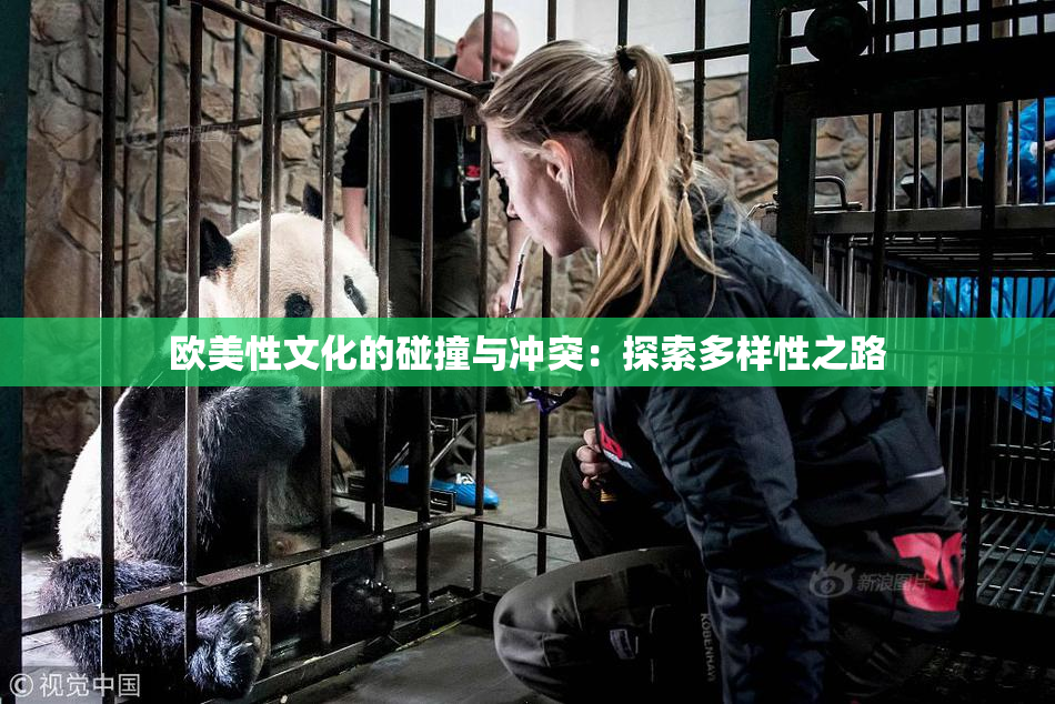 欧美性文化的碰撞与冲突：探索多样性之路