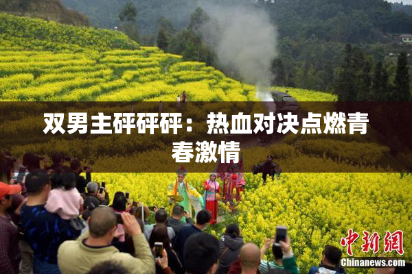 双男主砰砰砰：热血对决点燃青春激情