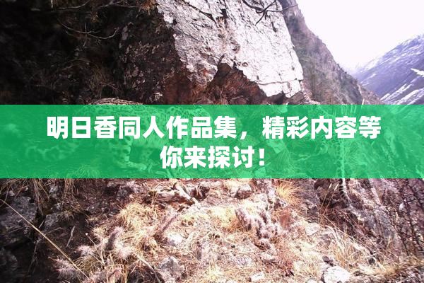 明日香同人作品集，精彩内容等你来探讨！