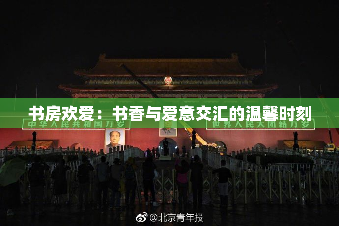 书房欢爱：书香与爱意交汇的温馨时刻