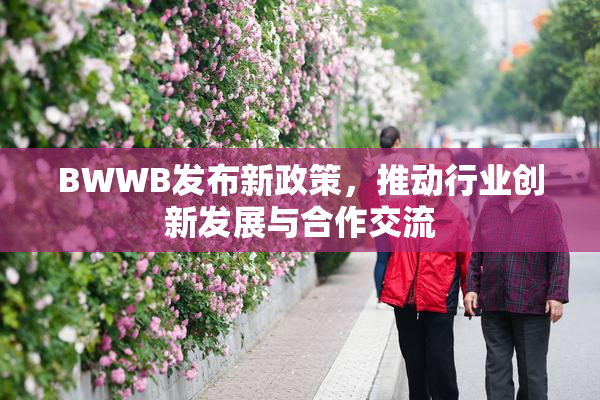 BWWB发布新政策，推动行业创新发展与合作交流