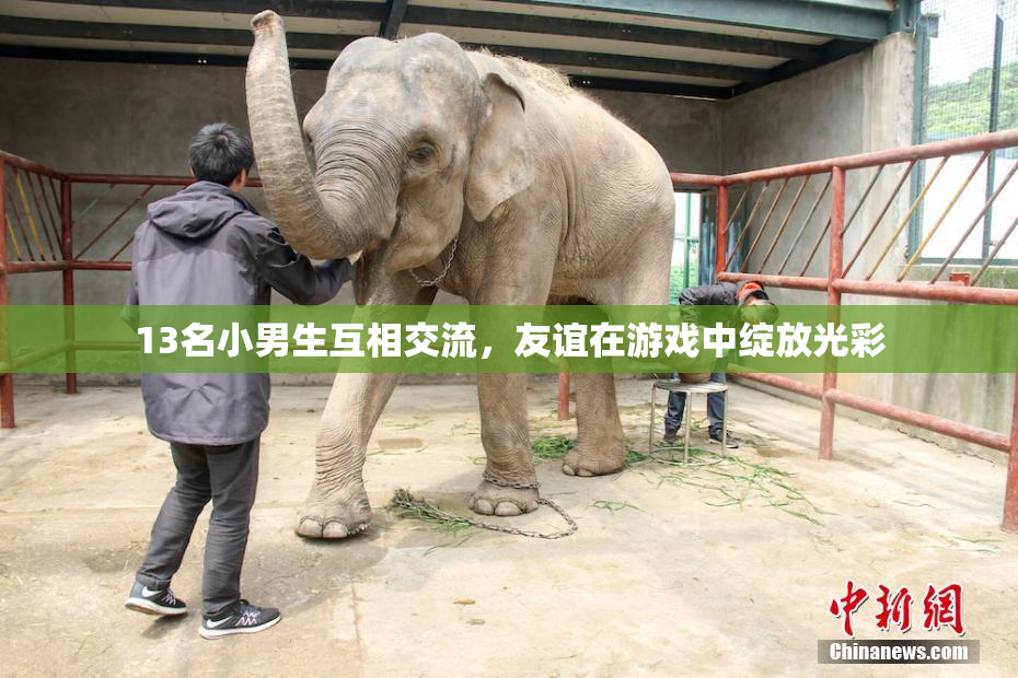 13名小男生互相交流，友谊在游戏中绽放光彩