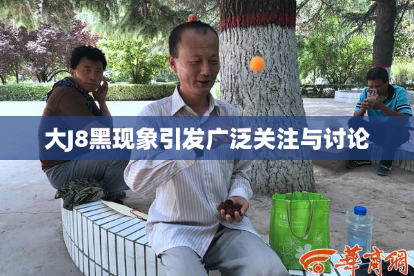 大J8黑现象引发广泛关注与讨论