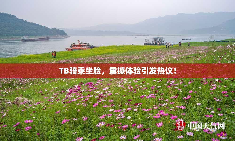TB骑乘坐脸，震撼体验引发热议！
