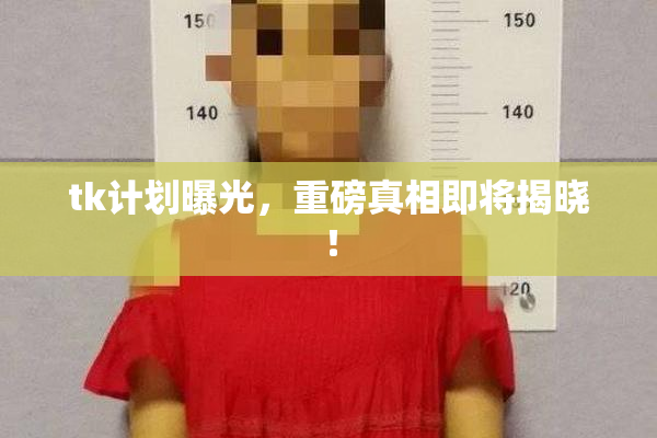 tk计划曝光，重磅真相即将揭晓！