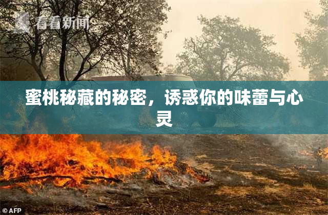 蜜桃秘藏的秘密，诱惑你的味蕾与心灵