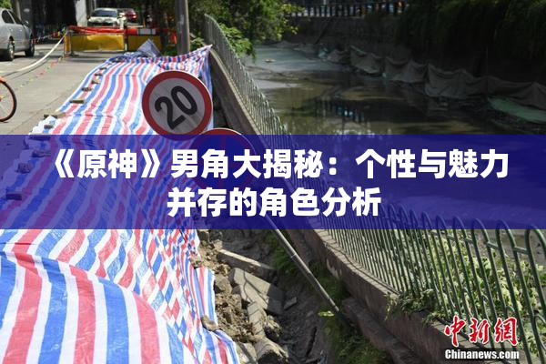 《原神》男角大揭秘：个性与魅力并存的角色分析