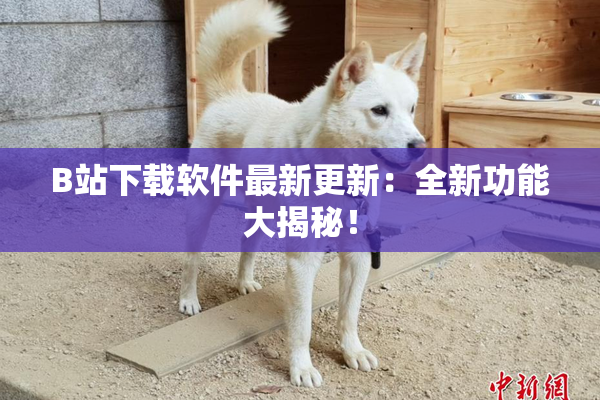 B站下载软件最新更新：全新功能大揭秘！