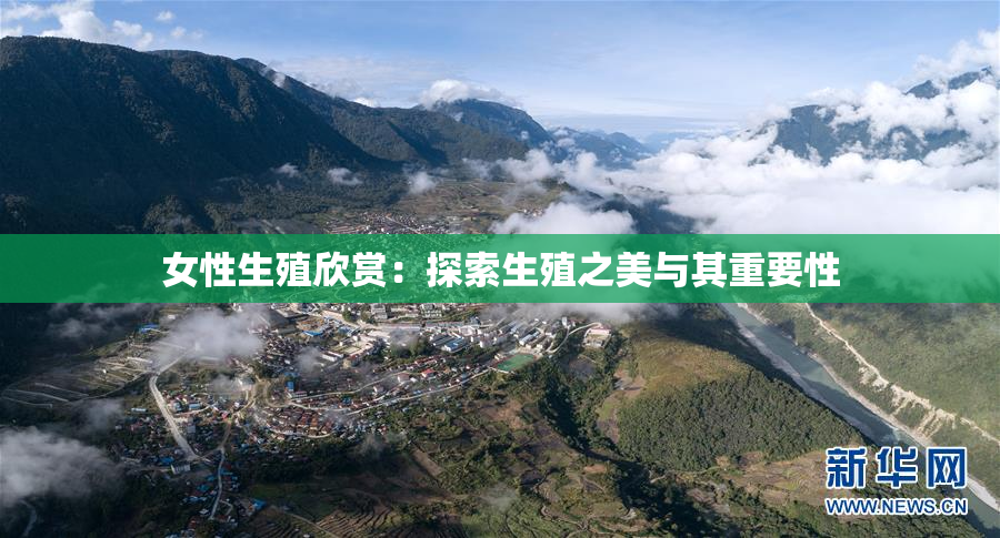 女性生殖欣赏：探索生殖之美与其重要性