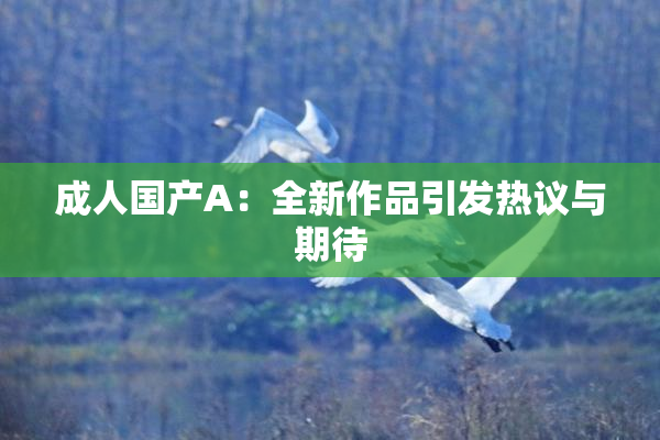 成人国产A：全新作品引发热议与期待