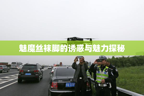 魅魔丝袜脚的诱惑与魅力探秘