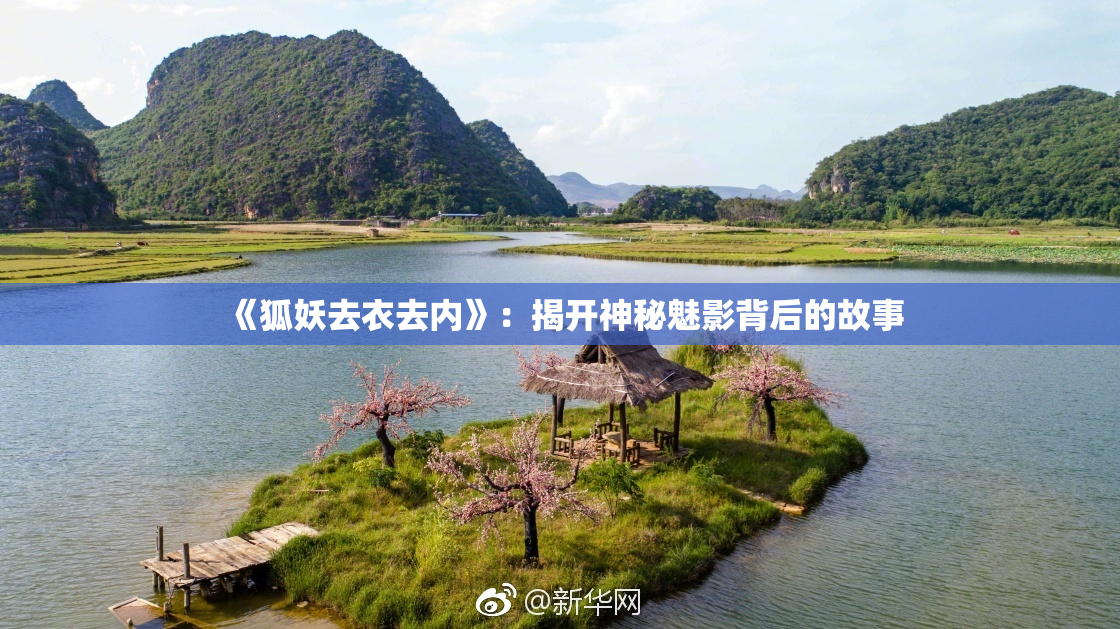 《狐妖去衣去内》：揭开神秘魅影背后的故事