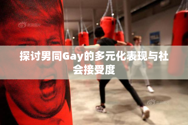 探讨男同Gay的多元化表现与社会接受度