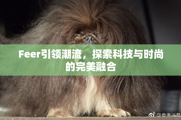 Feer引领潮流，探索科技与时尚的完美融合
