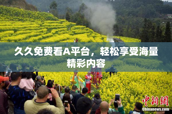 久久免费看A平台，轻松享受海量精彩内容