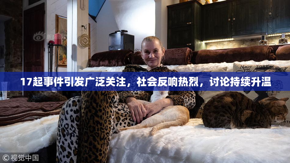 17起事件引发广泛关注，社会反响热烈，讨论持续升温