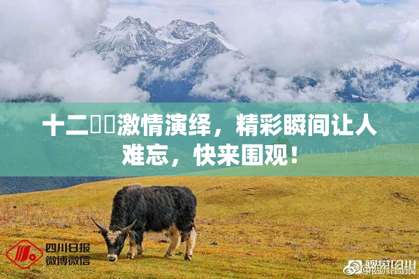 十二妺妺激情演绎，精彩瞬间让人难忘，快来围观！