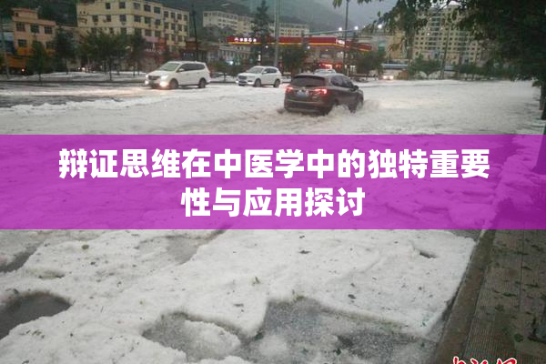 辩证思维在中医学中的独特重要性与应用探讨