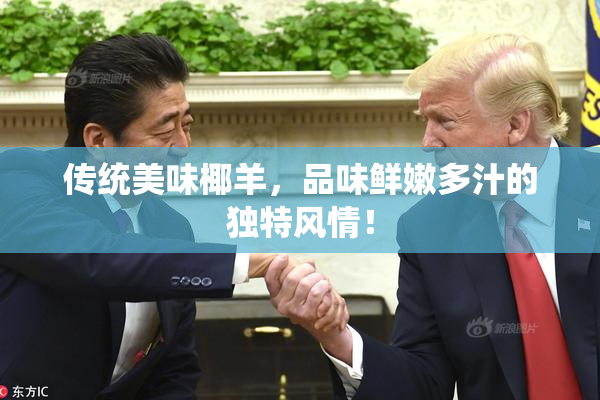传统美味椰羊，品味鲜嫩多汁的独特风情！