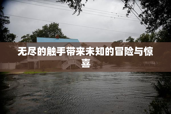 无尽的触手带来未知的冒险与惊喜