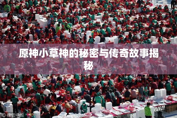 原神小草神的秘密与传奇故事揭秘