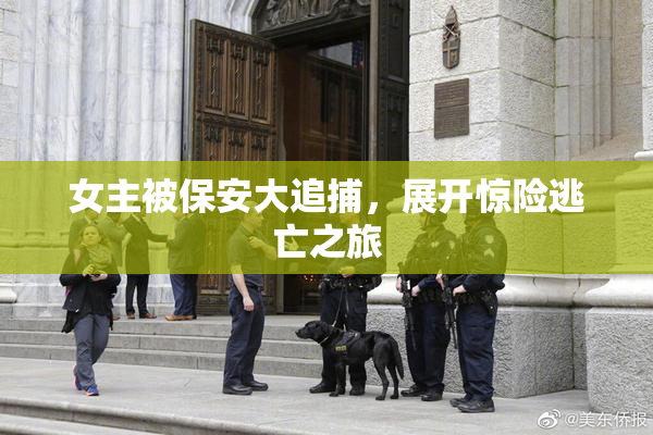 女主被保安大追捕，展开惊险逃亡之旅