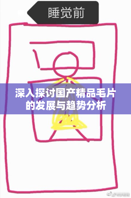 深入探讨国产精品毛片的发展与趋势分析