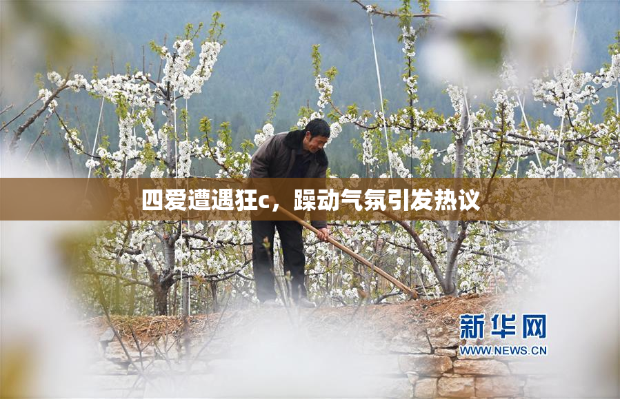 四爱遭遇狂c，躁动气氛引发热议