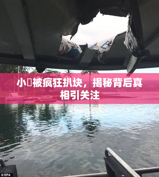 小泬被疯狂扒块，揭秘背后真相引关注