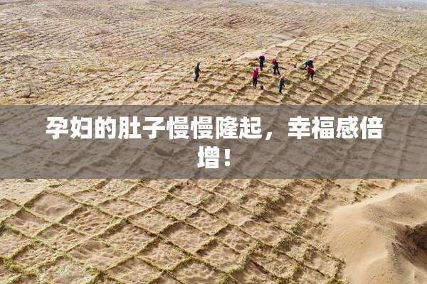 孕妇的肚子慢慢隆起，幸福感倍增！