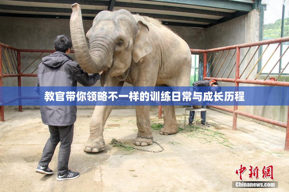 教官带你领略不一样的训练日常与成长历程