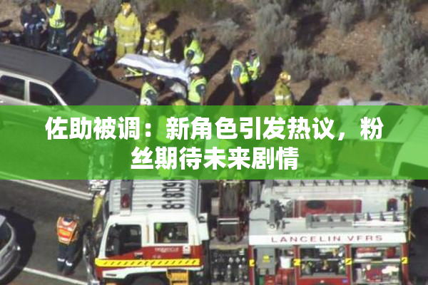 佐助被调：新角色引发热议，粉丝期待未来剧情