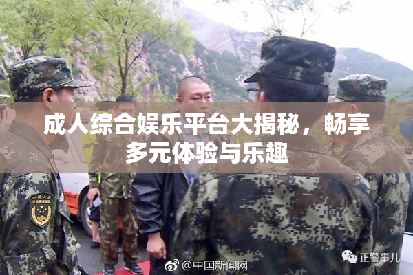 成人综合娱乐平台大揭秘，畅享多元体验与乐趣