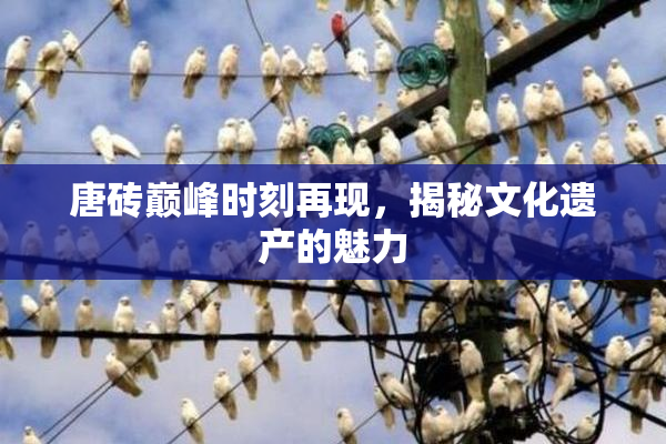 唐砖巅峰时刻再现，揭秘文化遗产的魅力