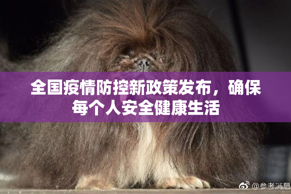 全国疫情防控新政策发布，确保每个人安全健康生活