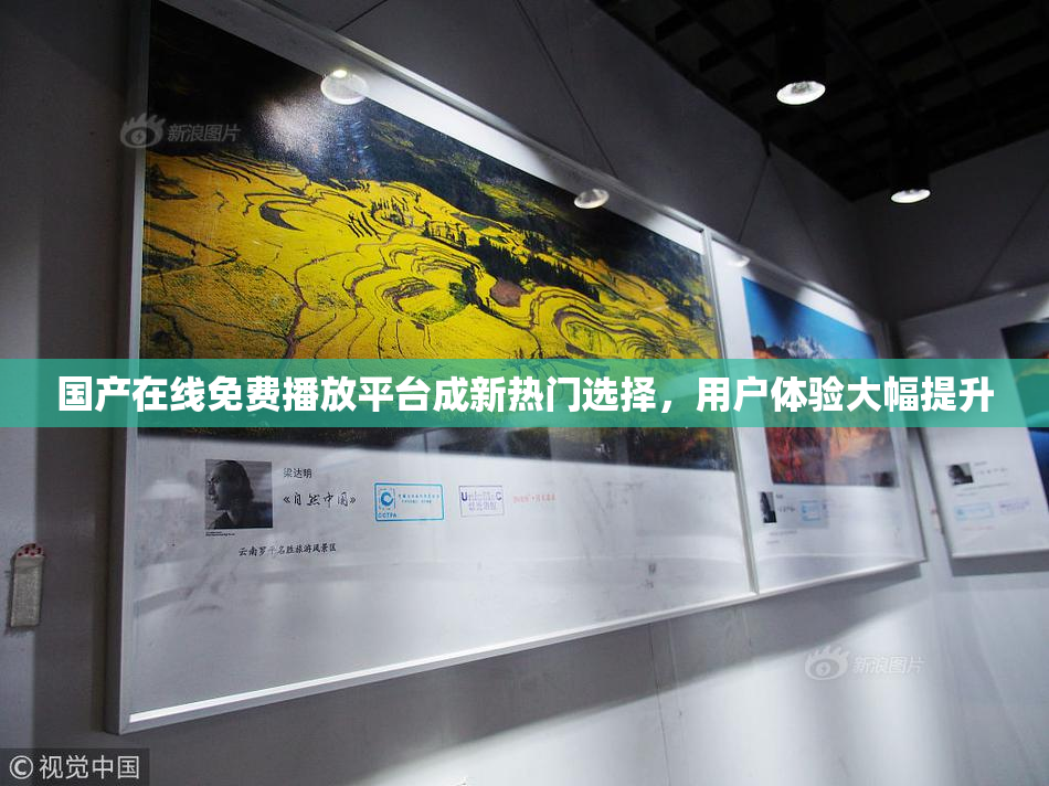 国产在线免费播放平台成新热门选择，用户体验大幅提升