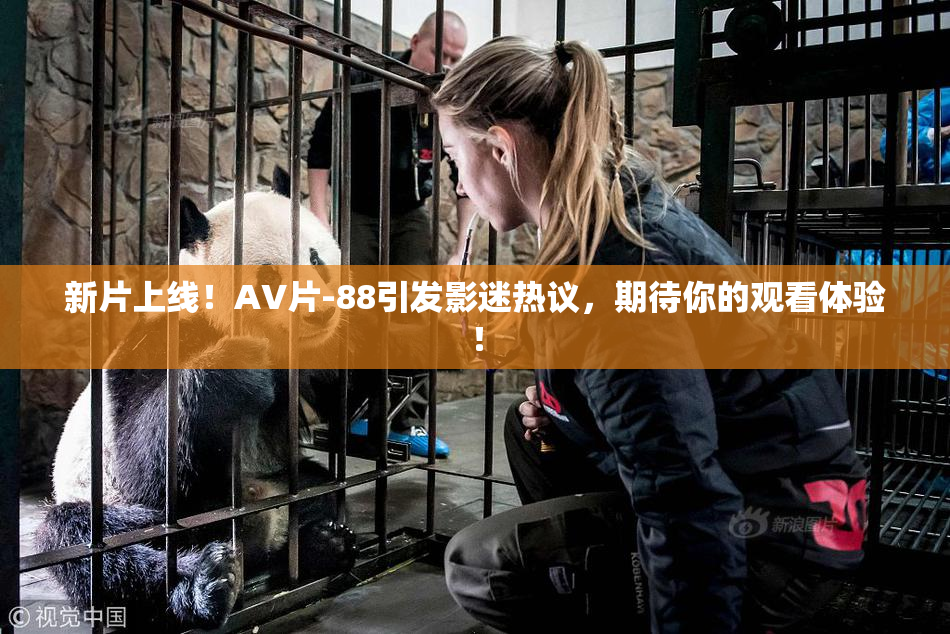 新片上线！AV片-88引发影迷热议，期待你的观看体验！