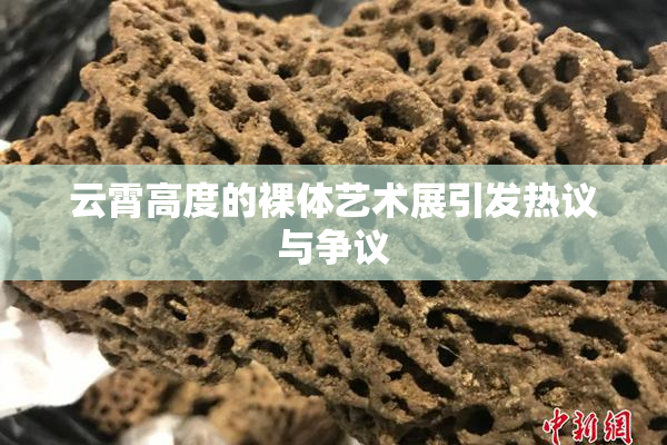 云霄高度的裸体艺术展引发热议与争议