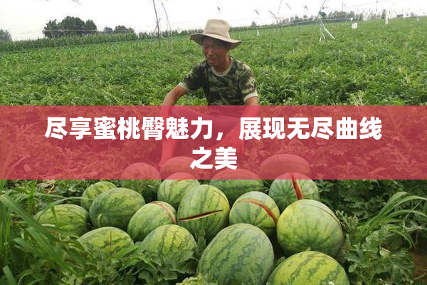 尽享蜜桃臀魅力，展现无尽曲线之美