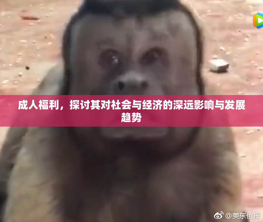 成人福利，探讨其对社会与经济的深远影响与发展趋势