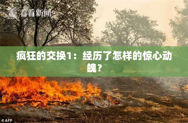 疯狂的交换1：经历了怎样的惊心动魄？