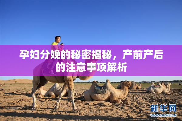 孕妇分娩的秘密揭秘，产前产后的注意事项解析