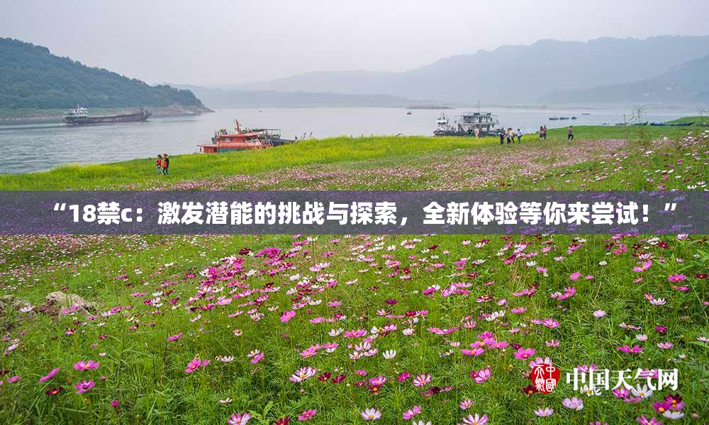“18禁c：激发潜能的挑战与探索，全新体验等你来尝试！”