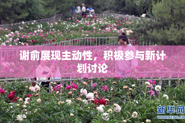 谢俞展现主动性，积极参与新计划讨论