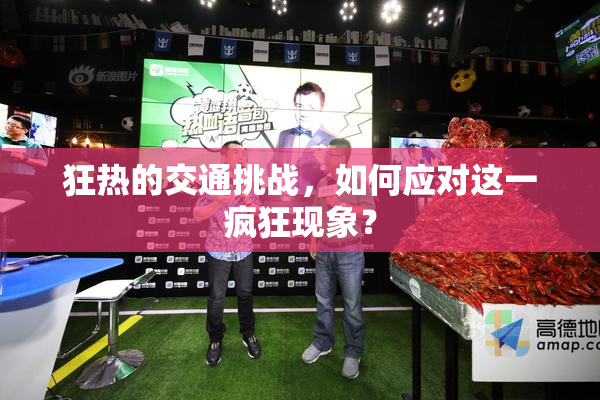 狂热的交通挑战，如何应对这一疯狂现象？