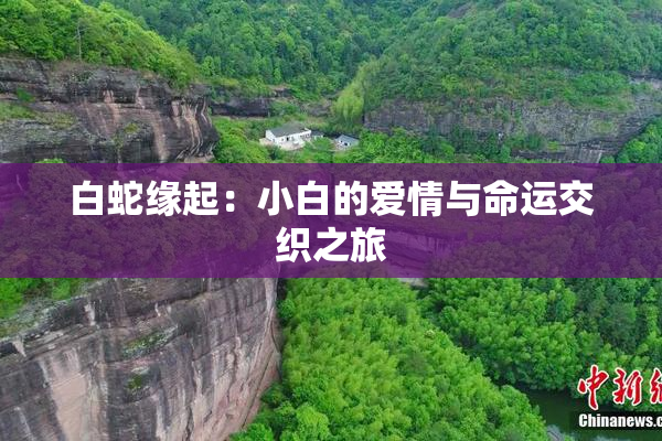 白蛇缘起：小白的爱情与命运交织之旅