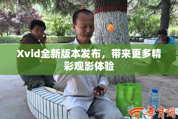 Xvid全新版本发布，带来更多精彩观影体验