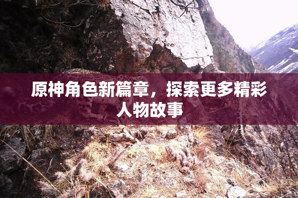 原神角色新篇章，探索更多精彩人物故事