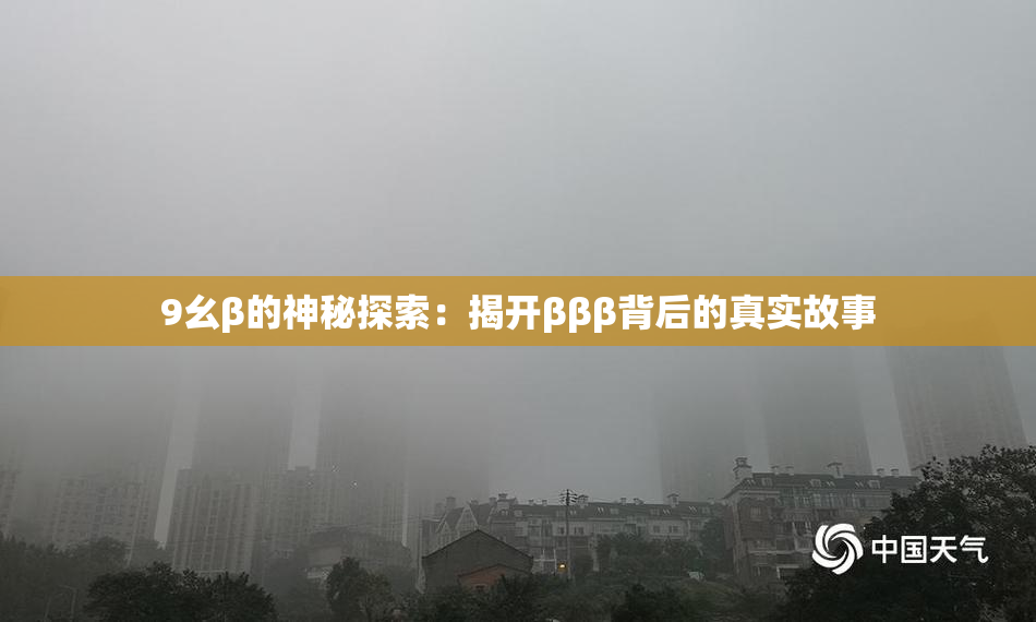 9幺β的神秘探索：揭开βββ背后的真实故事