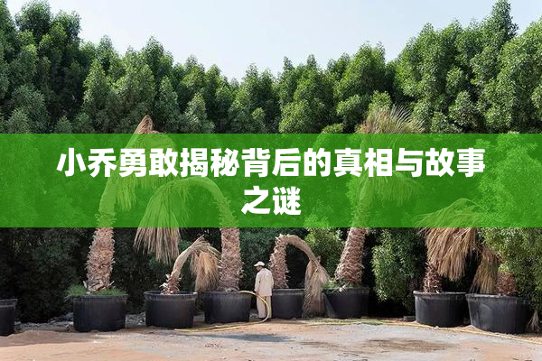 小乔勇敢揭秘背后的真相与故事之谜
